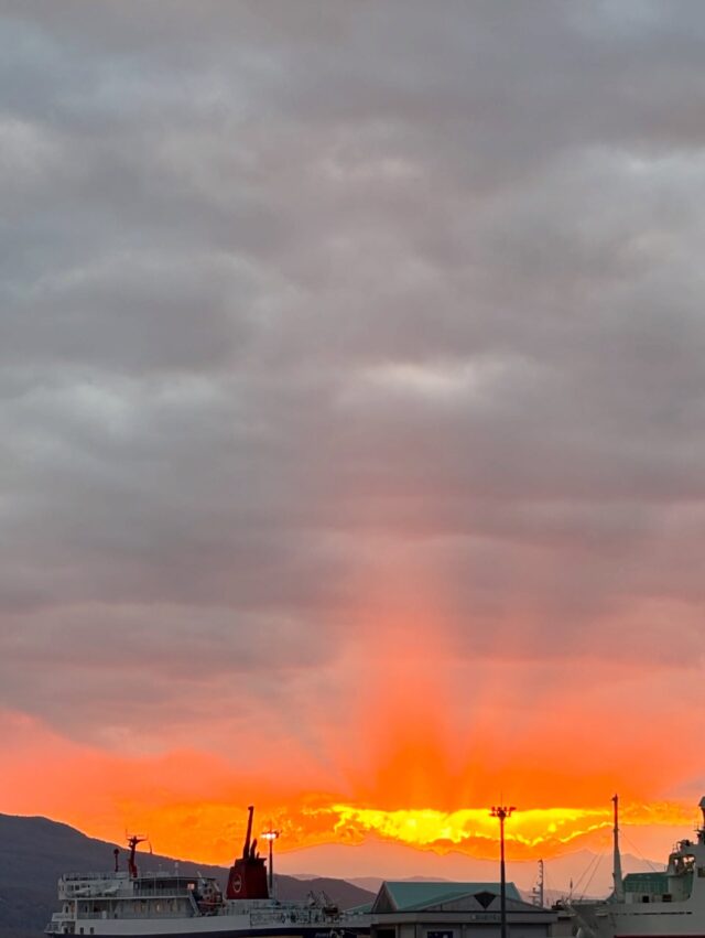 謹んで新年のご挨拶を申し上げます

旧年中は 数ある骨院の中から T.A.S.骨院にご来院いただき感謝申し上げます

おかげさまで 当院も無事に新年を迎えさせていただくことができました

また ここまで支えてくださった患者様、地域の皆様に改めて心より御礼申し上げます

本年もT.A.S.整骨院では『カラダの想いを叶える整骨院」を目標に
ご来院いただいた皆様へ誠心誠意 心を込め 施術・ご対応させていただきます

なお、新年は1月5日(月)より通常診療しております

本年も何卒 T.A.S.骨院をどうぞよろしくお願い申し上げます

#鹿児島
#整骨院 
#ラジオ波マッサージ #メディセル #筋膜リリース